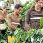 Leplan NESCAFÉ 2030