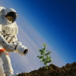 Des scientifiques australiens veulent faire pousser des plantes sur la Lune d'ici 2025