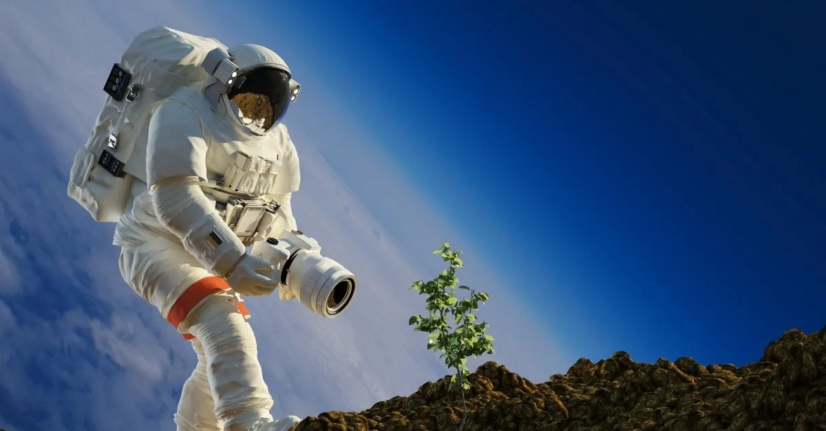 Des scientifiques australiens veulent faire pousser des plantes sur la Lune d'ici 2025
