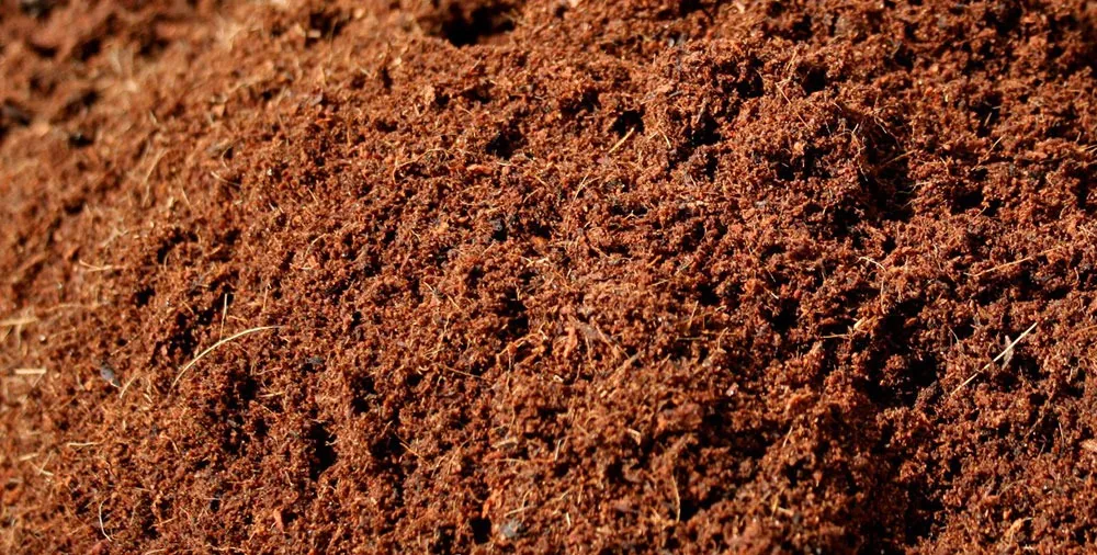 Pourquoi la tourbe de coco ?