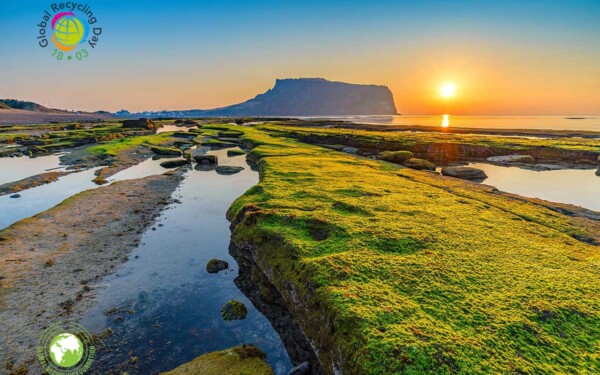 Journée mondiale du recyclage