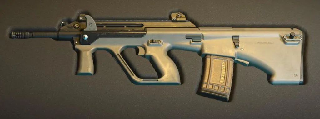 STB 556 Warzone Modern Warfare 2