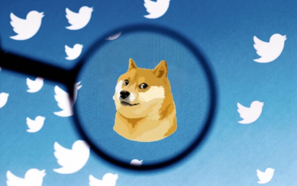 logo chien Dogecoin à la place de l'oiseau sur Twitter