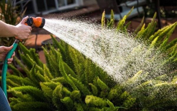 Profitez des French Days pour équiper votre jardin avec Gardena !