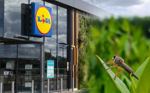 anti moustiques Lidl