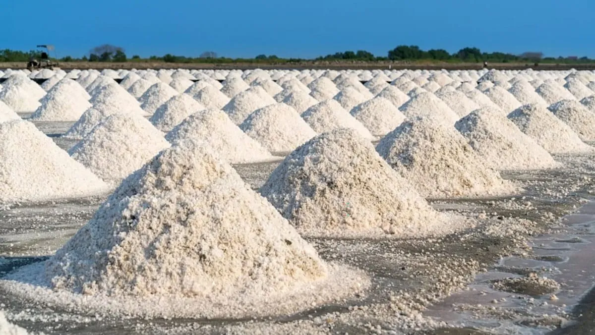 Stellantis investit plus de 100 millions d'euros dans le plus grand projet géothermique de lithium