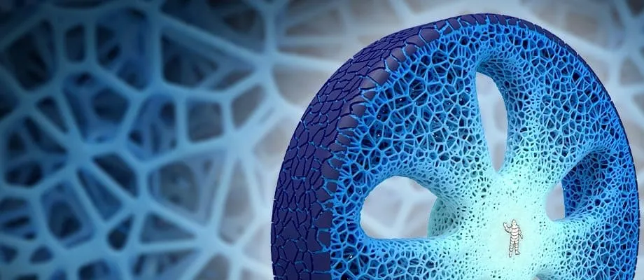 Michelin Vision