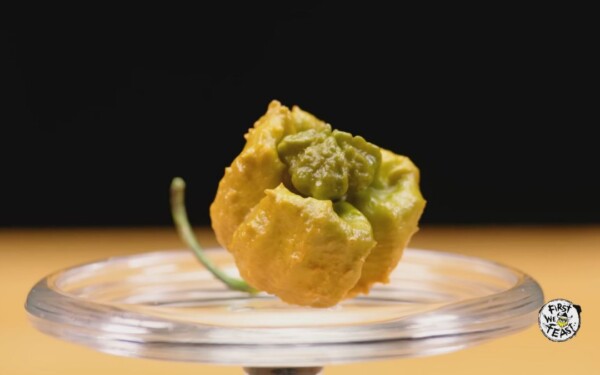 Pepper X est le nouveau piment le plus fort au monde, peu de gens peuvent le supporter