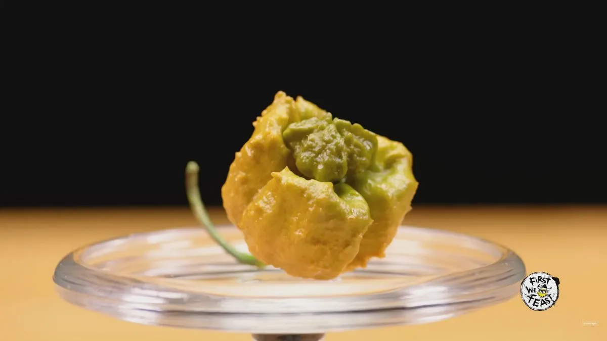 Pepper X est le nouveau piment le plus fort au monde, peu de gens peuvent le supporter