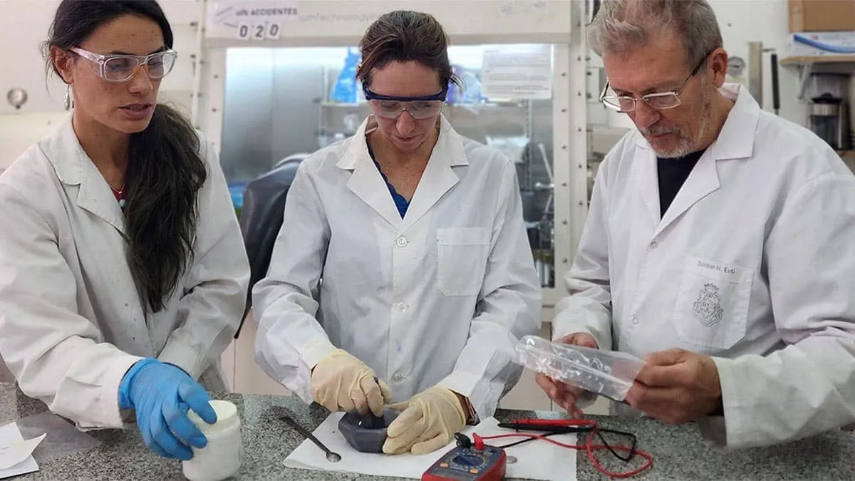 Batteries lithium-soufre de nouvelle génération utilisant des poils de vache