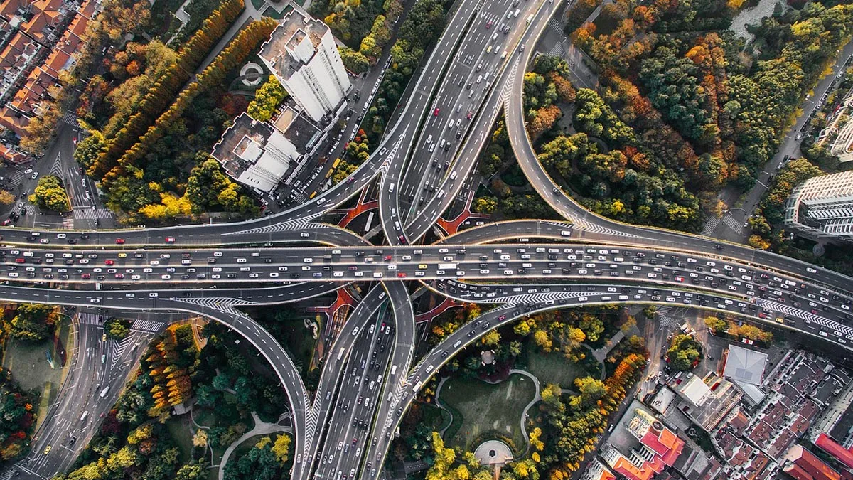 Pourquoi les arbres sont-ils si importants pour nos villes ?