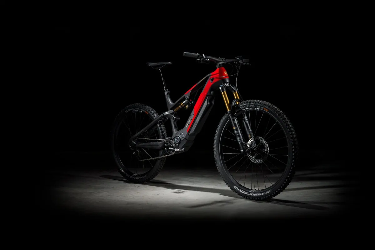 Rotwild R.X1000 et R.C1000 : E-TB et E-Crossover avec une énorme batterie