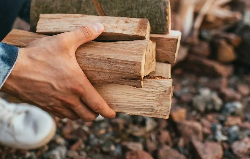 Différencier le bois de chauffage sec et humide : astuces simples