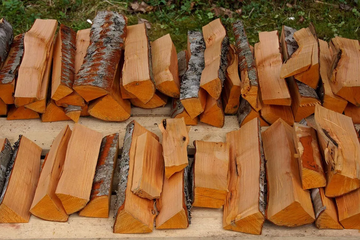 Comment savoir si votre bois de chauffage est suffisamment sec pour brûler ?