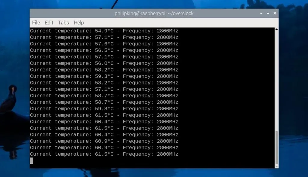 Pi 5 effectuant un test de stress dans le terminal