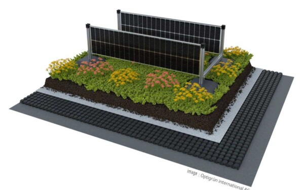SOLYCO SOLon, solution photovoltaïque intégrant des panneaux bifaciaux verticaux et des toits verts