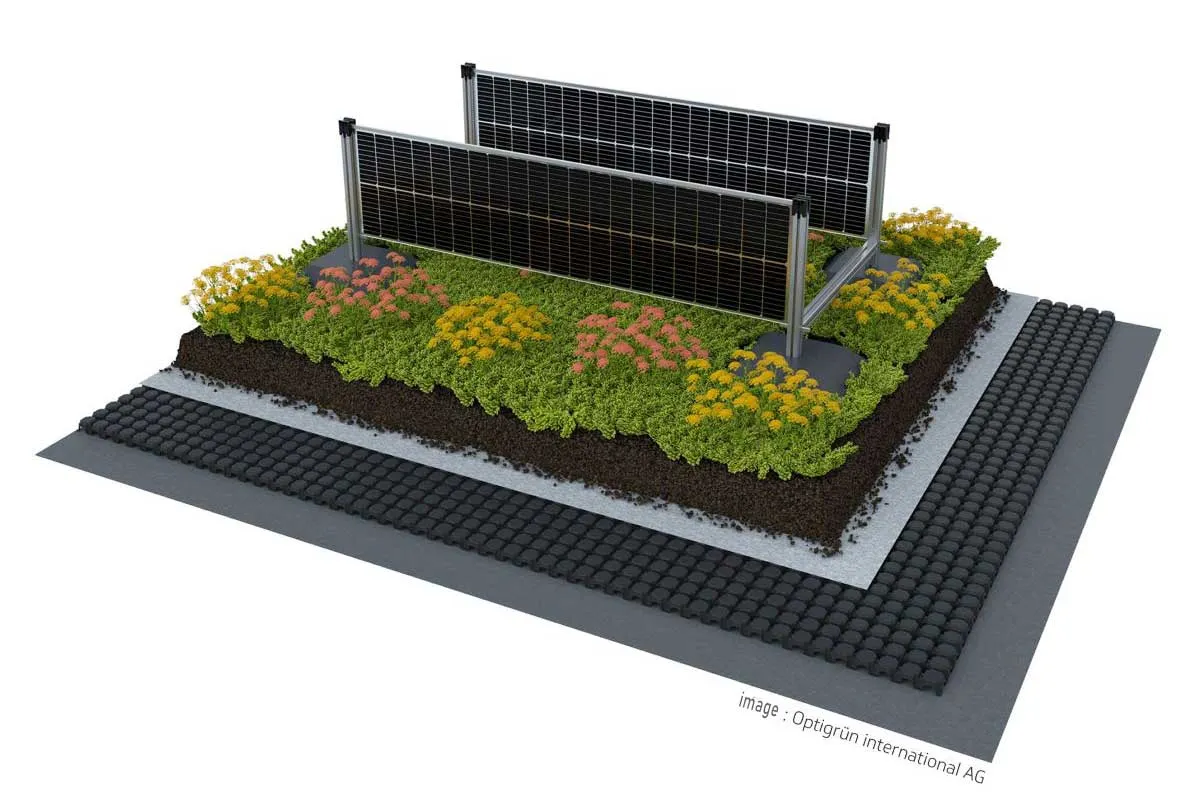 SOLYCO SOLon, solution photovoltaïque intégrant des panneaux bifaciaux verticaux et des toits verts