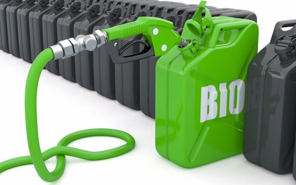 La bioénergie, le biogaz et les biocarburants : un rapport crucial pour l'avenir énergétique de l'UE