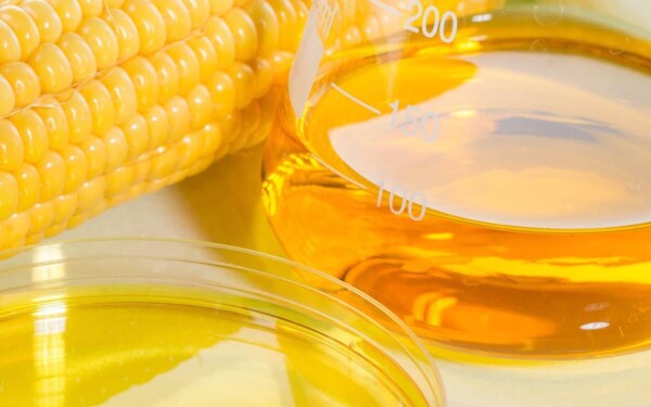 Carburants synthétiques : qu'en pensent les constructeurs automobiles ?