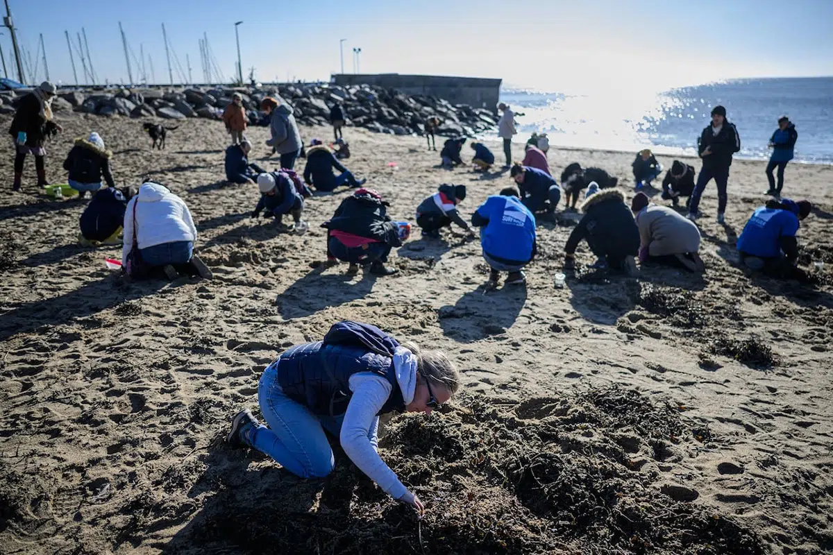 Nettoyage de la plage