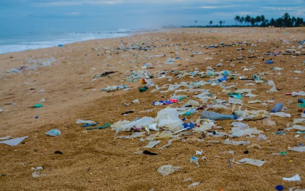 La pointe de Bonne-Anse : triste record de pollution aux billes plastiques en France