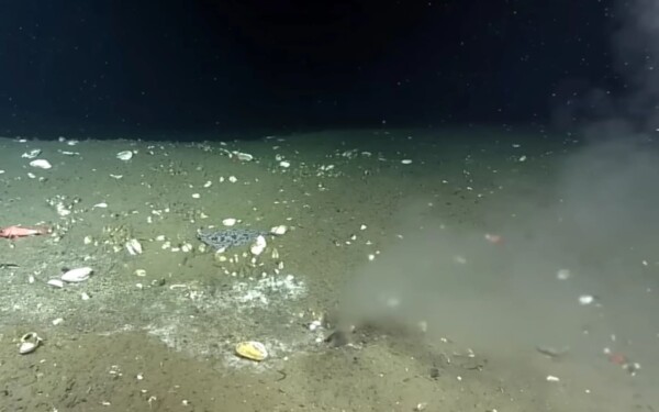 Tombe interdite dans l'Atlantique, fouille archéologique en France