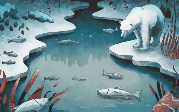 Les rivières arctiques perdent leur nitrogène Des conséquences alarmantes sur lécosystème