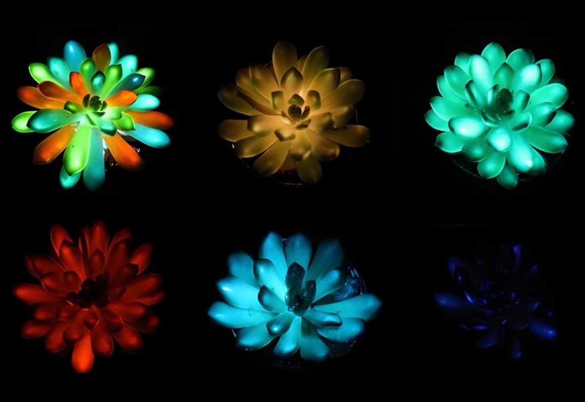 Des plantes incandescentes éclairent nos villes