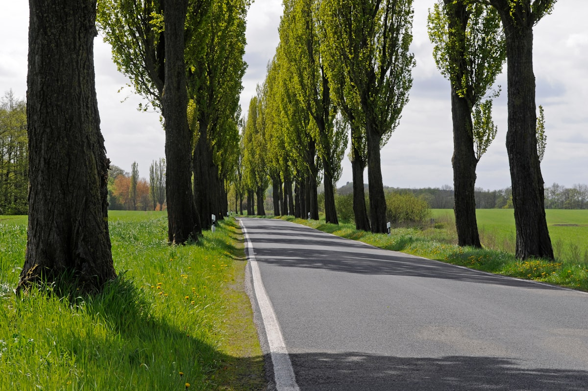 Corridor vert européen l'hydrogène