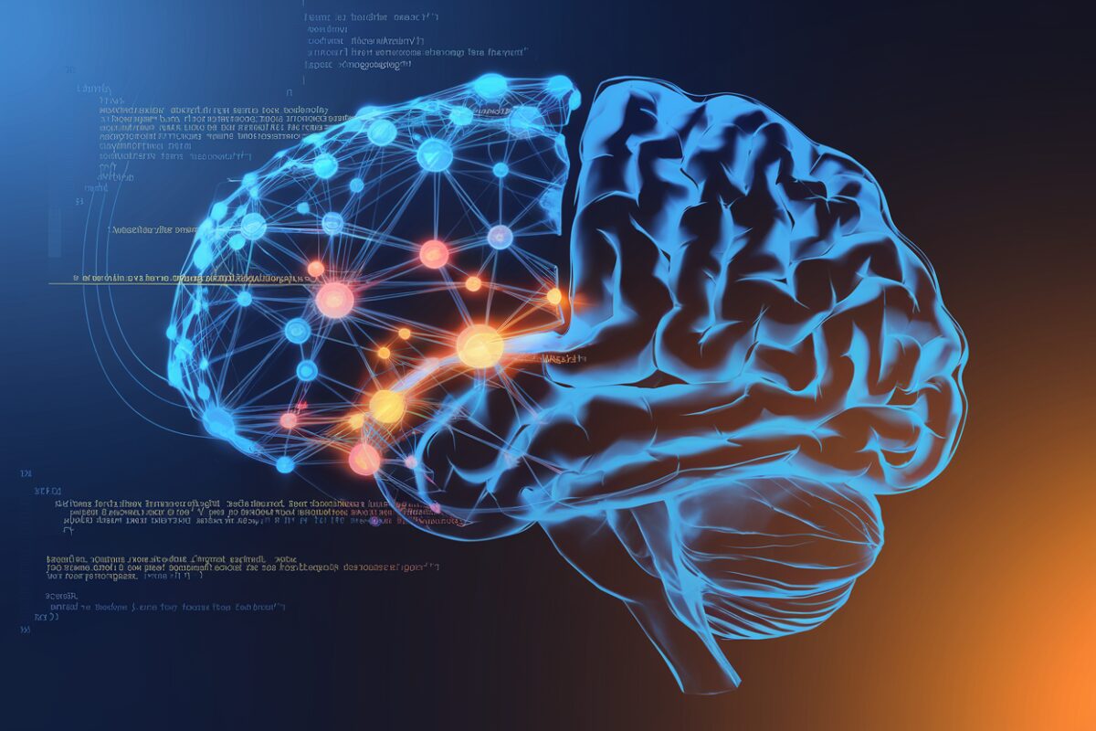 Comment le cerveau apprend : Des découvertes surprenantes sur nos capacités cognitives