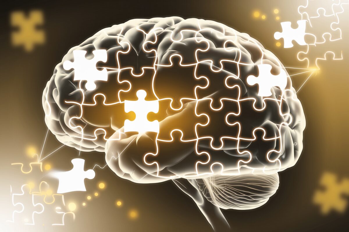 Comprendre les mécanismes cérébraux : Comment notre cerveau assimile les connaissances oubliées