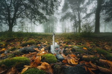 Les sols forestiers du sud-ouest allemand absorbent 3 % de méthane en plus chaque année