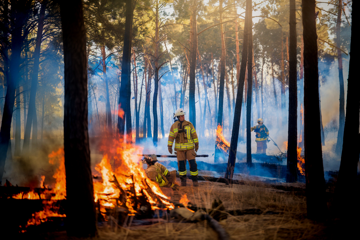 Incendie de forêt en Gironde ravageant la pinède landaise avec sapeurs-pompiers mobilisés en juillet 2026