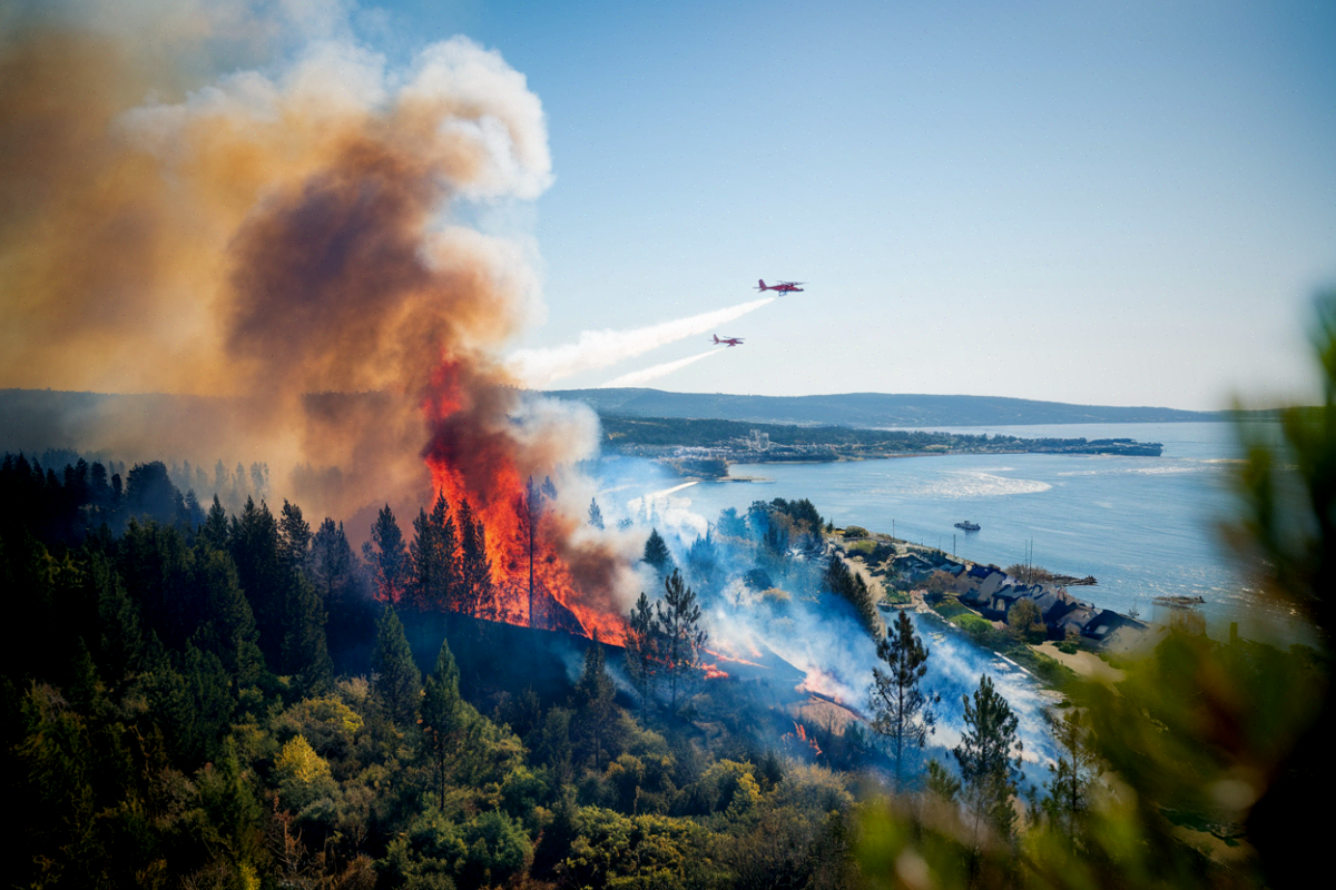 Incendie de forêt en Gironde ravageant un massif de pins maritimes près de Lacanau en juillet 2026
